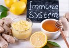 7 Simple Ways to Boost Your Immune System This Winter