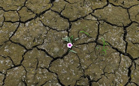 How to Build Mental Toughness: A Simple Guide to Strengthening Your Resilience