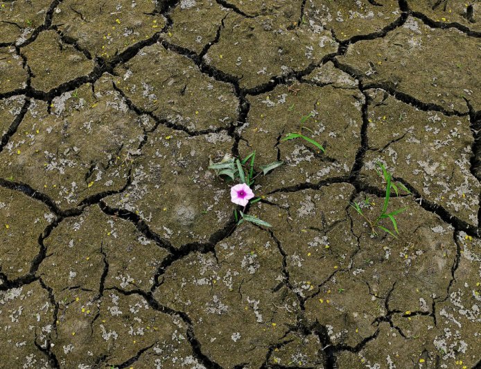 How to Build Mental Toughness: A Simple Guide to Strengthening Your Resilience