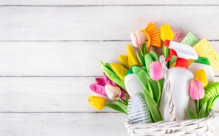 The Spring Home Reset: 10 Small Fixes That Save Big on Energy and Support Your Wellness