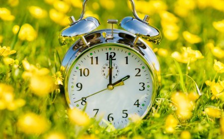 The Spring Reset: How to Refresh Your Habits When the Season Changes