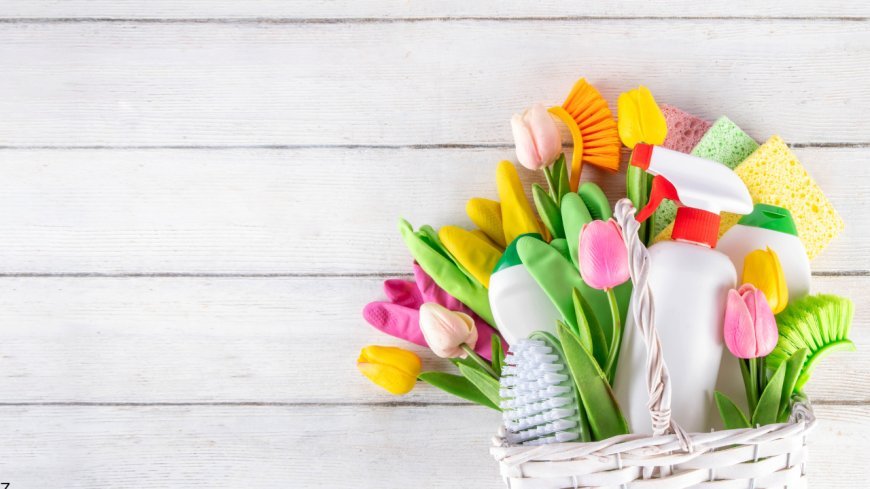 The Spring Home Reset: 10 Small Fixes That Save Big on Energy and Support Your Wellness