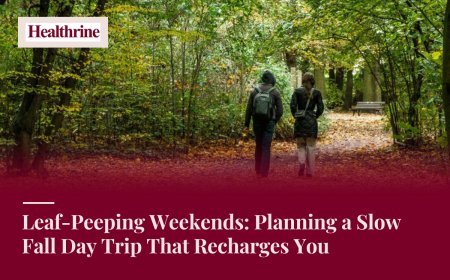 Leaf-Peeping Weekends: Planning a Slow Fall Day Trip That Recharges You