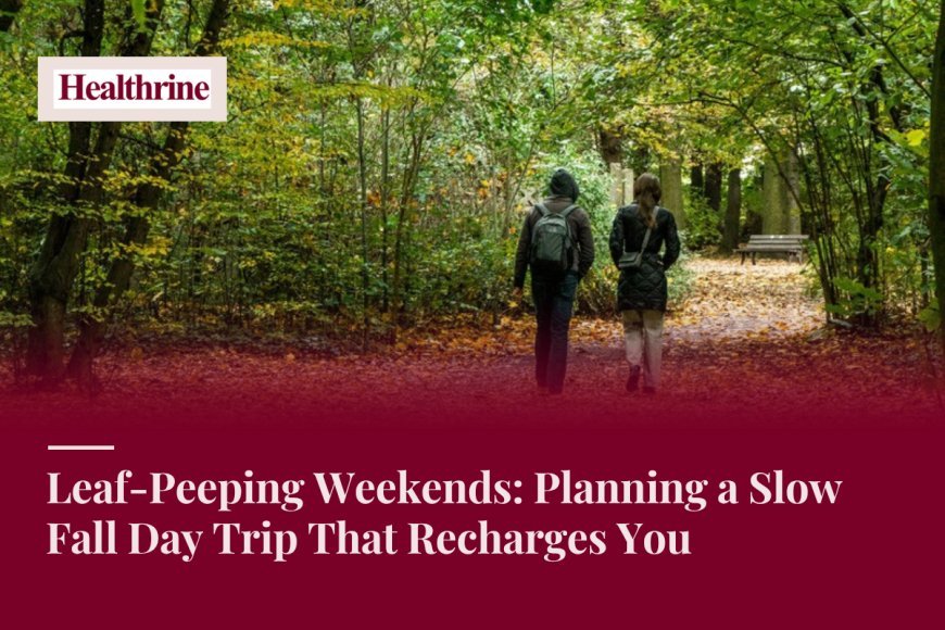 Leaf-Peeping Weekends: Planning a Slow Fall Day Trip That Recharges You